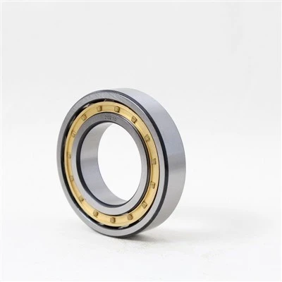 NF Series Bearing